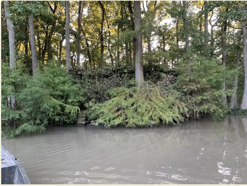 Professional landscaping services in Dexter, MO by BCS Land Company