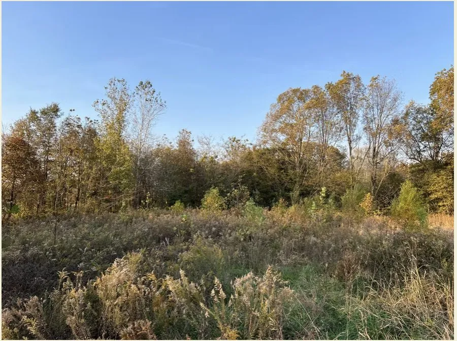 Custom outdoor landscaping experts serving Dexter, MO - BCS Land Company