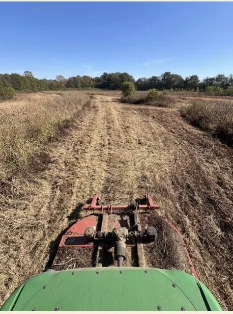 Expert garden landscaping in Dexter, MO by BCS Land Company