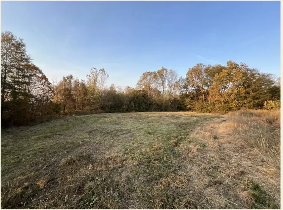 Trusted lawn mowing service experts serving Dexter, MO - BCS Land Company