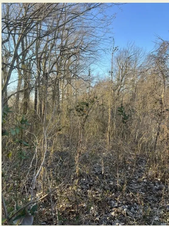 Top-rated landscape design in Dexter, MO - BCS Land Company