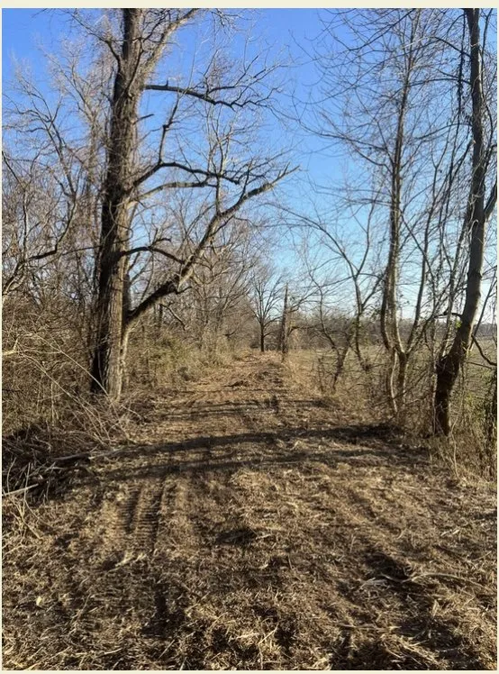 Local yard maintenance for beautiful yards in Dexter, MO by BCS Land Company