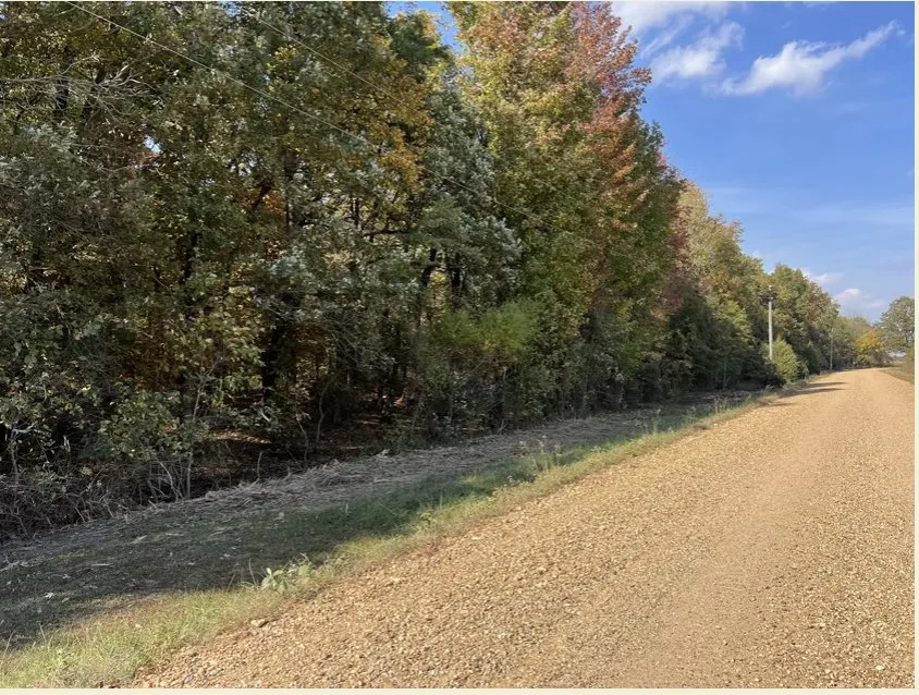 Expert garden landscaping experts serving Dexter, MO - BCS Land Company