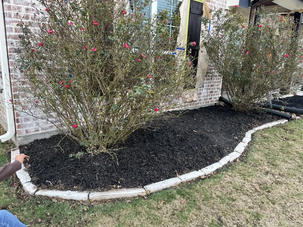Custom residential landscaping in Bryan, TX - BC’s Lawn Care Services