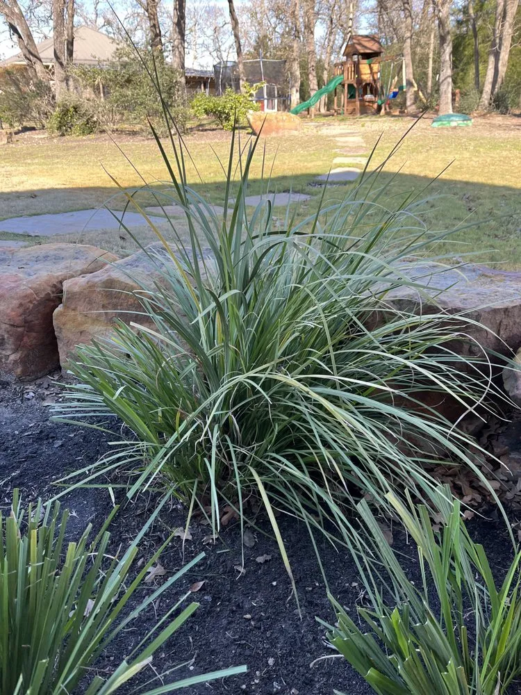 Trusted lawn mowing service in Bryan, TX - BC’s Lawn Care Services