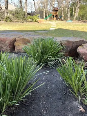 BC’s Lawn Care Services Logo