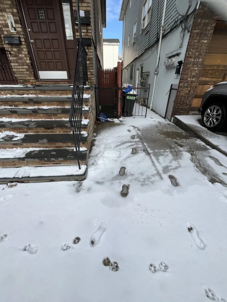 Custom landscape installation in Newark, NJ - Bcsonj