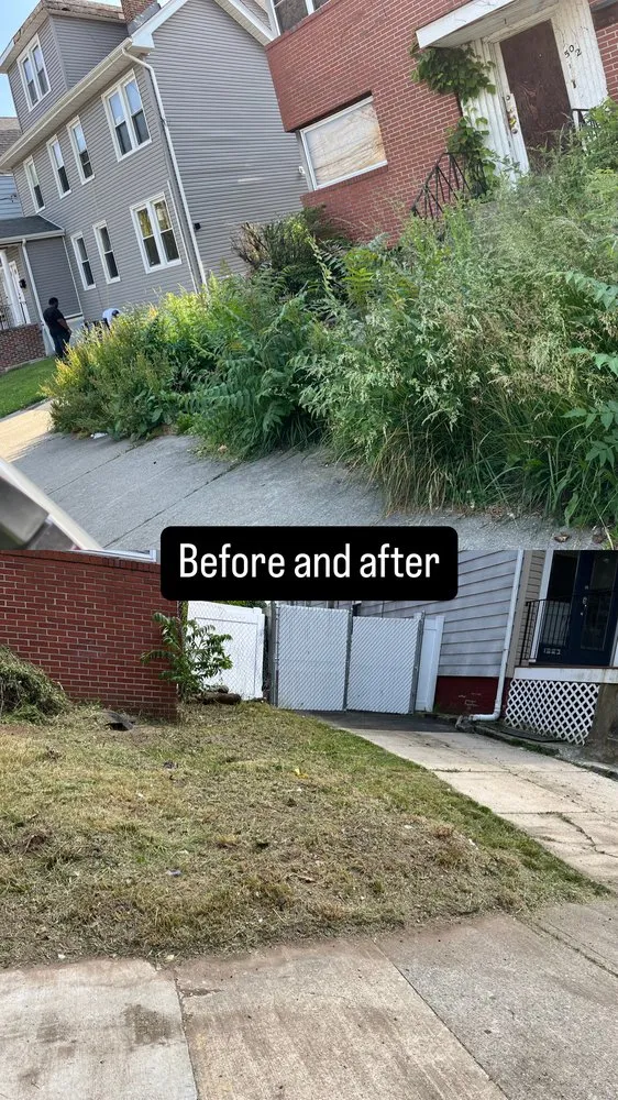 Expert landscape design for homes across Newark, NJ - Bcsonj