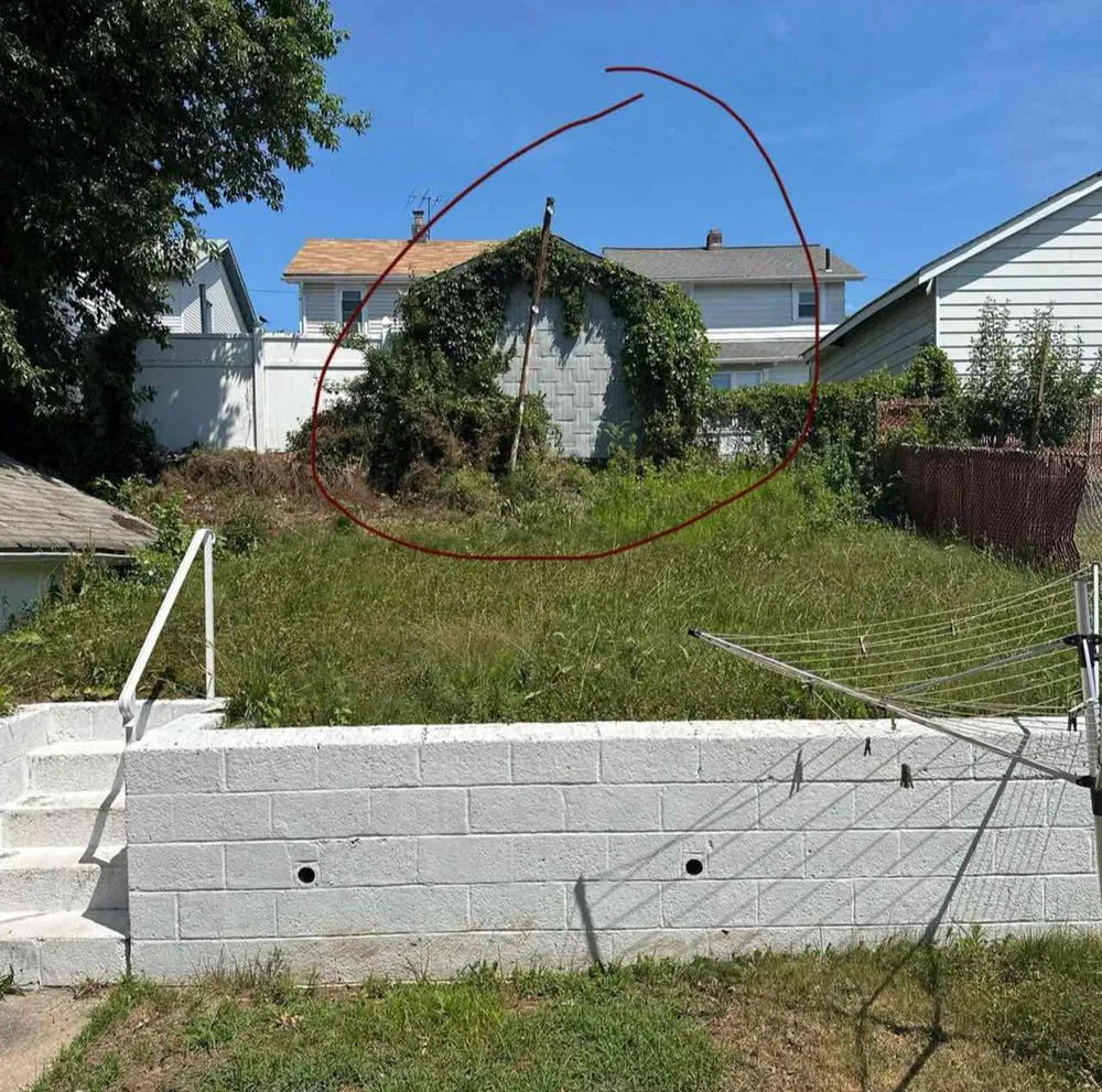 Top-rated landscape installation for year-round maintenance across Newark, NJ - Bcsonj