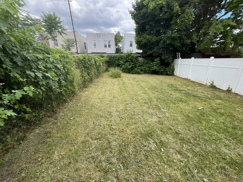 Professional yard cleanup service in Newark, NJ - Bcsonj