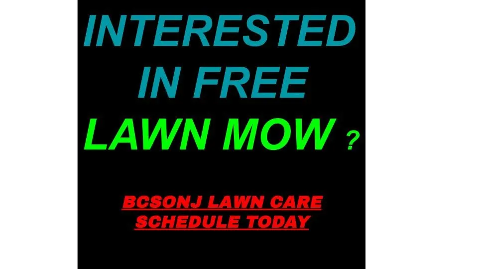 Custom landscape design in Newark, NJ by Bcsonj