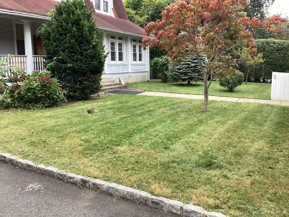 Expert yard cleanup service for beautiful yards in Newark, NJ by Bcsonj