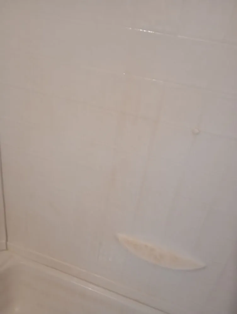 Top-rated garden landscaping in Lake City, FL by B&D Cleanout Solutions