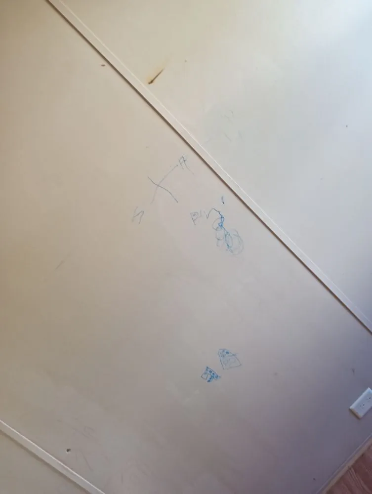 Trusted landscape installation for year-round maintenance across Lake City, FL - B&D Cleanout Solutions