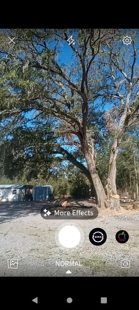 Professional landscaping services for beautiful yards across Lake City, FL - B&D Cleanout Solutions