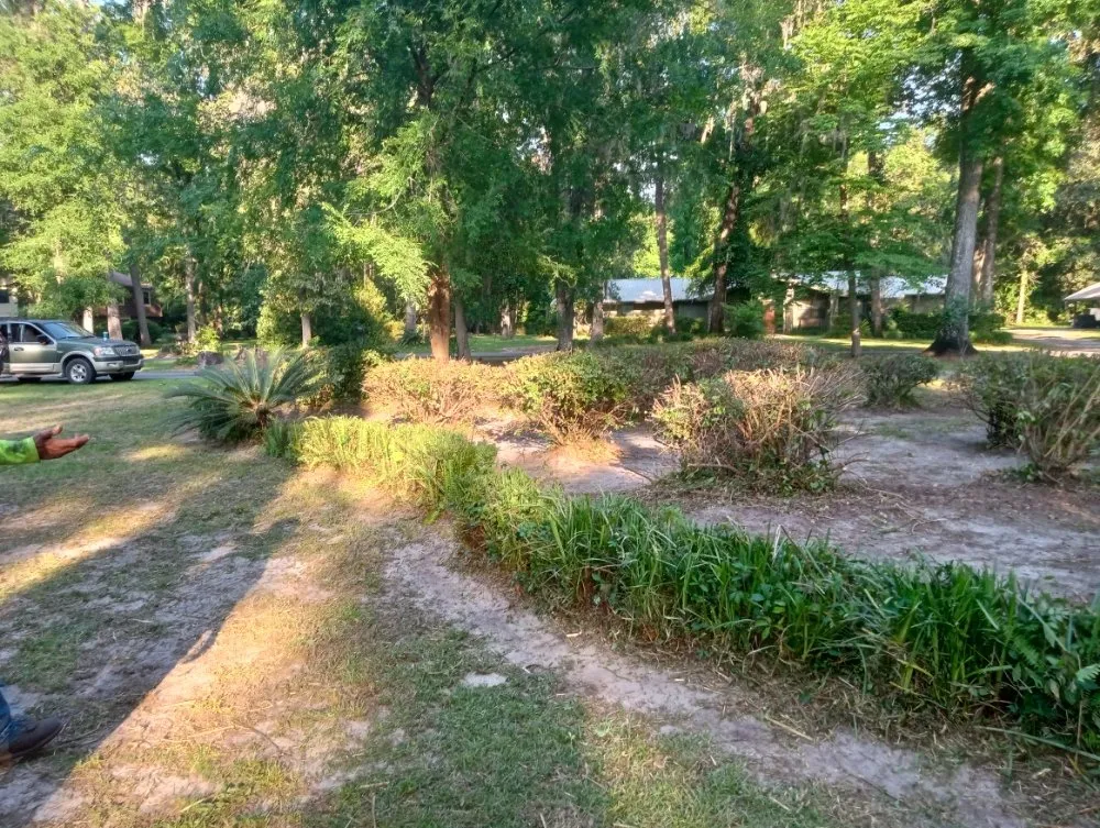 Affordable lawn care service for homes in Lake City, FL by B&D Cleanout Solutions