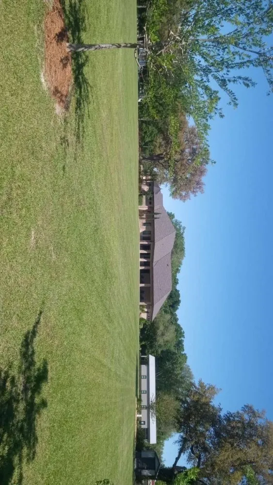 Top-rated lawn care service with custom design across Lake City, FL - B&D Cleanout Solutions