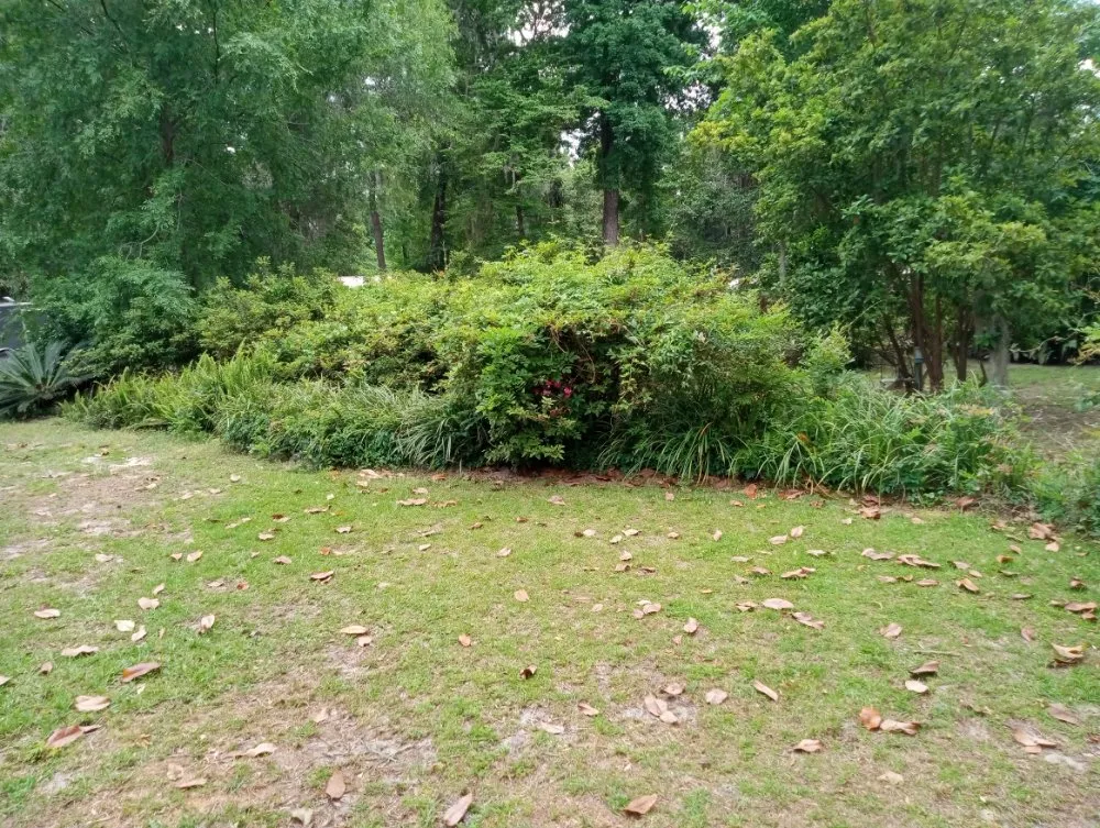 Custom landscape installation in Lake City, FL - B&D Cleanout Solutions