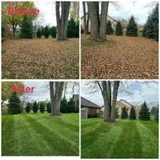 Reliable landscape installation for beautiful yards in Lake City, FL by B&D Cleanout Solutions