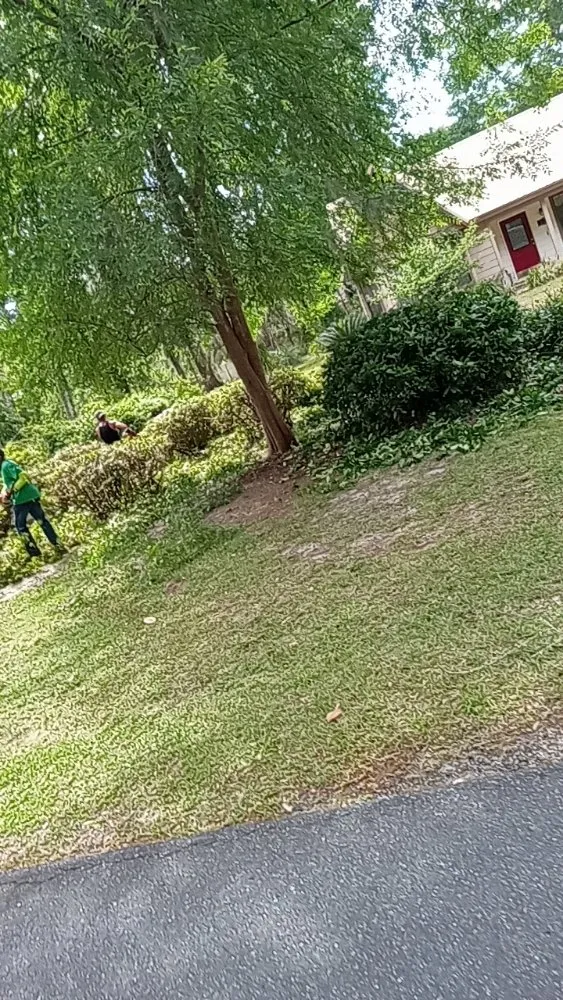 Affordable residential landscaping in Lake City, FL by B&D Cleanout Solutions