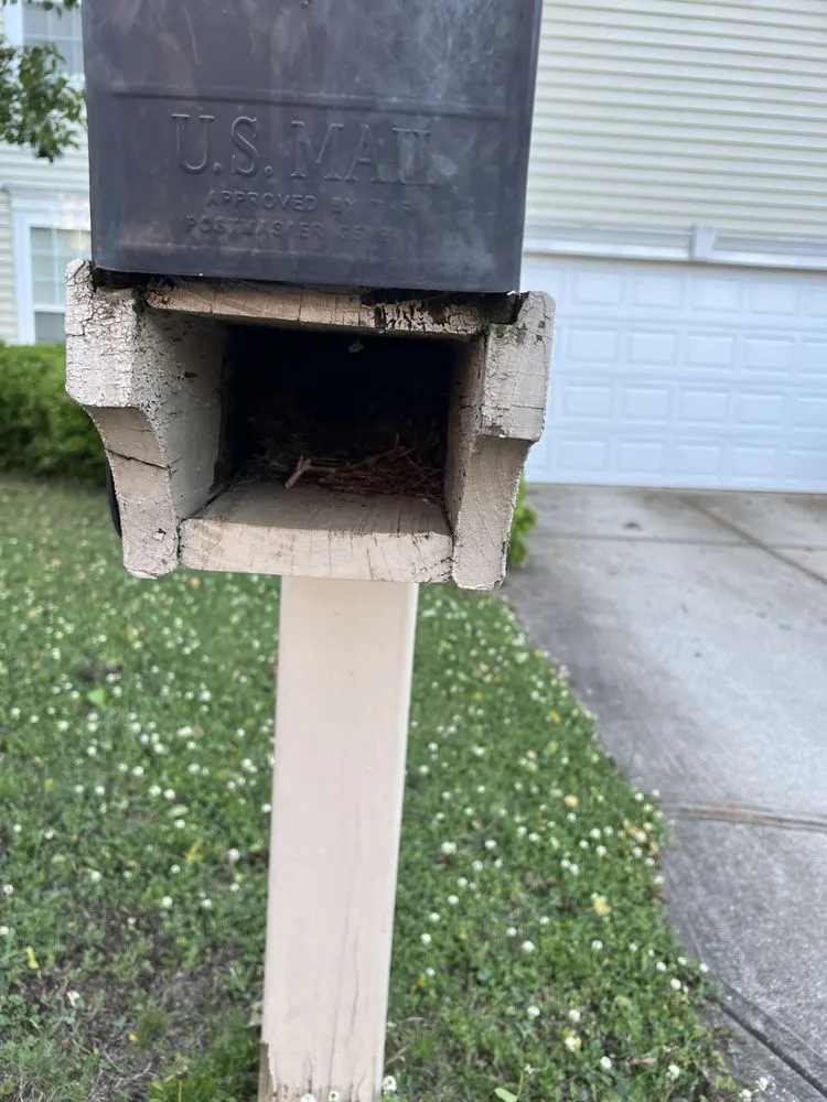 Affordable landscape installation for homes across Greer, SC - B&D Disaster Clean Up