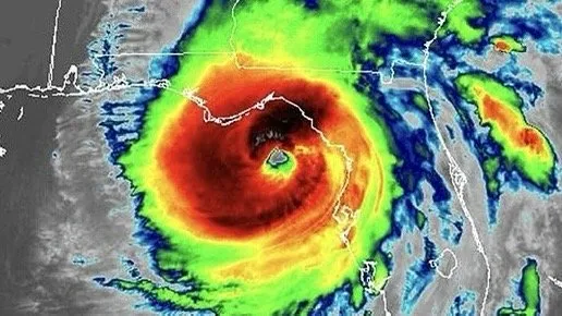 Expert landscaping services near you in Greer, SC by B&D Disaster Clean Up