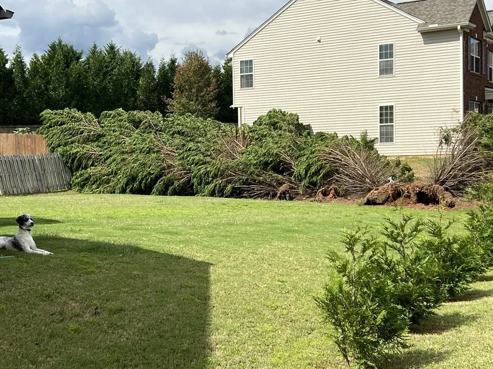 Reliable garden landscaping for residential properties across Greer, SC - B&D Disaster Clean Up