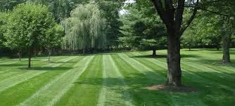 Top-rated lawn care service experts serving Chadbourn, NC - B&D Exterior Home Restoration