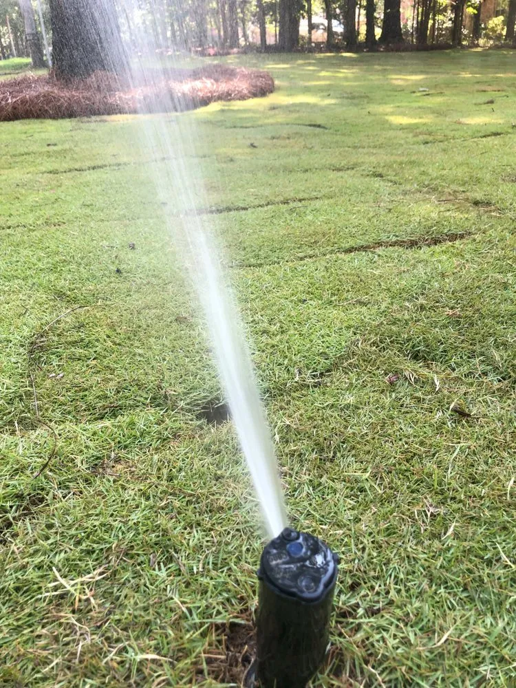 Top-rated lawn care service for year-round maintenance across Brandon, MS - B&D Landscape and Maintenance