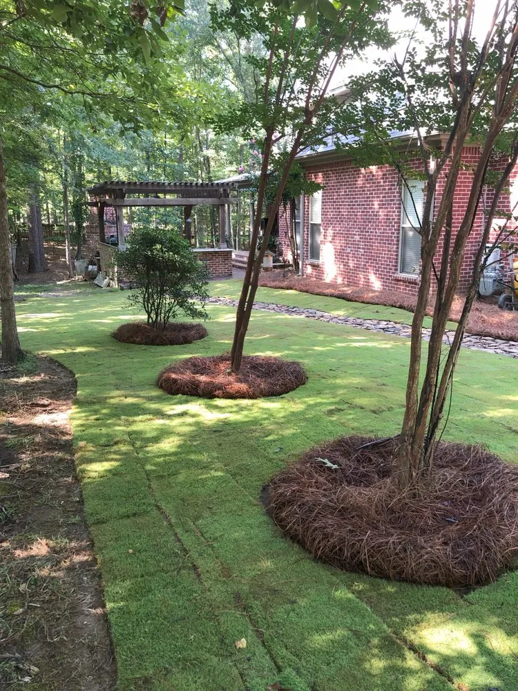 Professional lawn care service in Brandon, MS - B&D Landscape and Maintenance