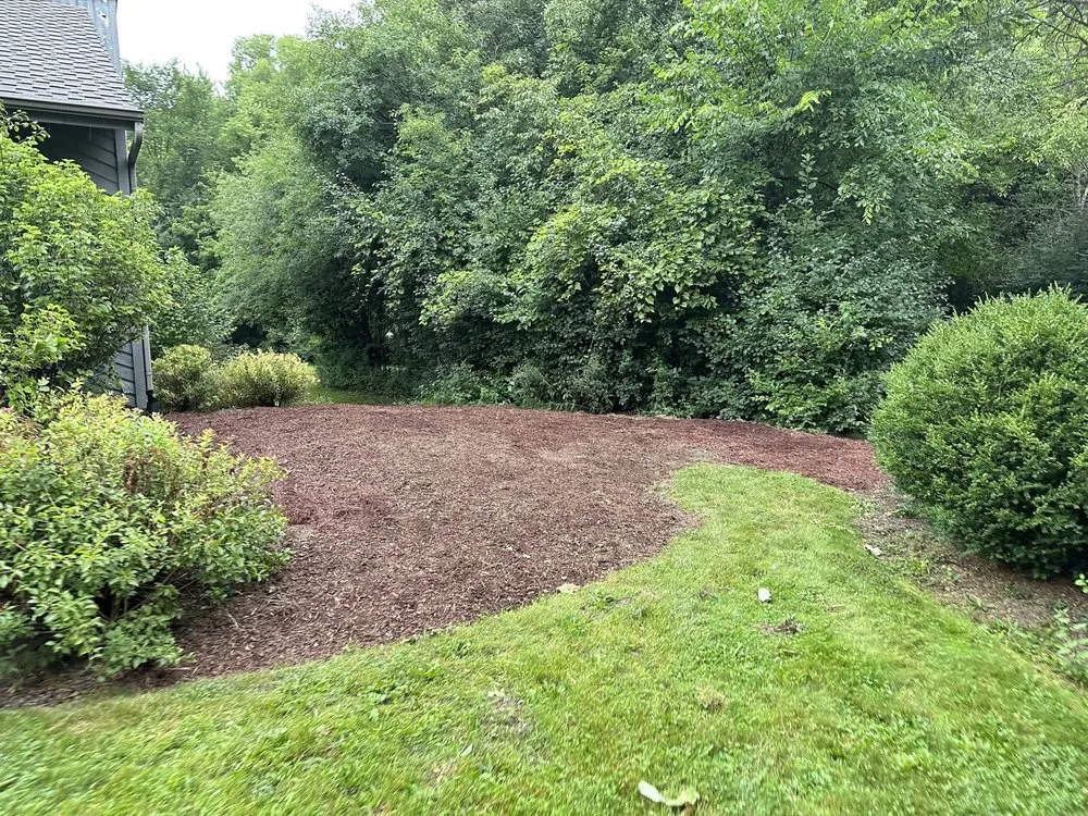 Trusted landscape installation for beautiful yards across Barrington, IL - BD Landscaping
