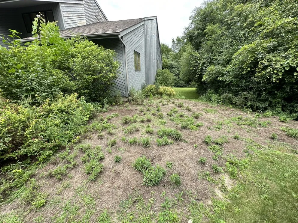 Custom landscape installation in Barrington, IL by BD Landscaping