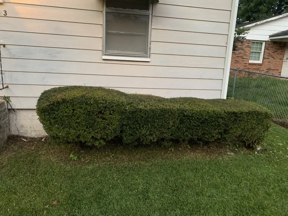 Trusted lawn mowing service for year-round maintenance across Birmingham, AL - B&D Landscaping