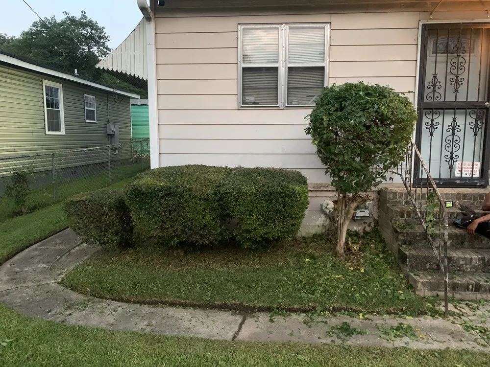 Affordable yard maintenance in Birmingham, AL by B&D Landscaping