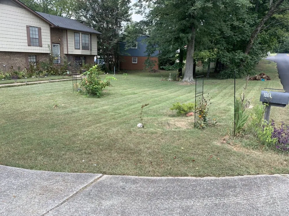 Local landscape installation in Birmingham, AL by B&D Landscaping