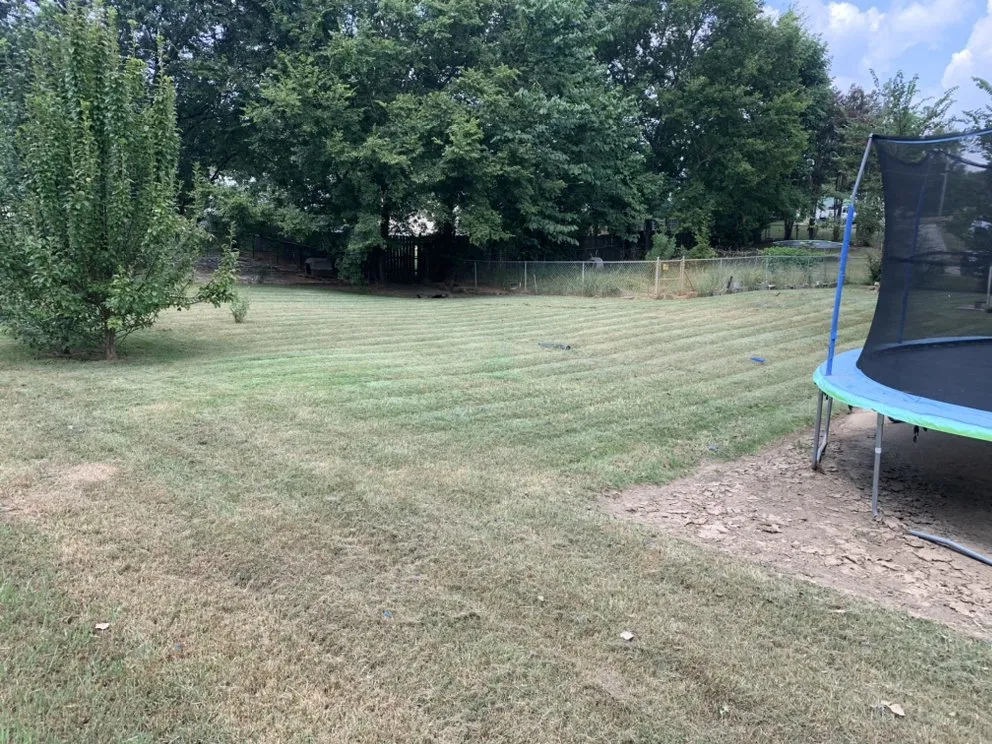 Affordable lawn care service for homes across Birmingham, AL - B&D Landscaping