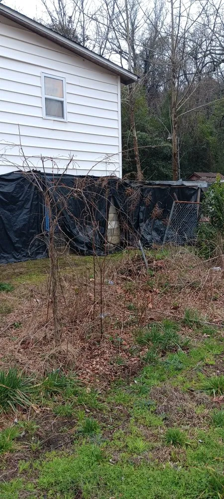 Custom yard cleanup service experts serving Manchester, GA - B&D Landscaping