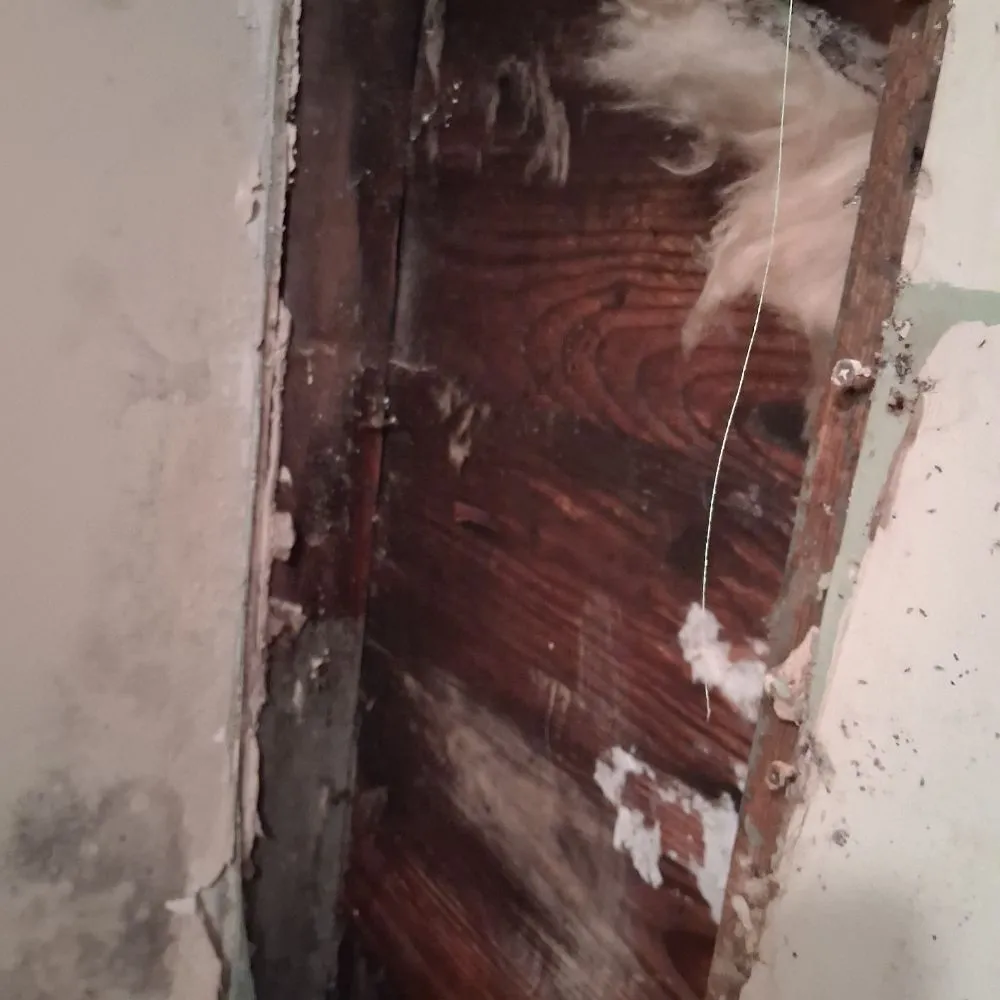 Reliable garden landscaping in Manchester, GA by B&D Landscaping