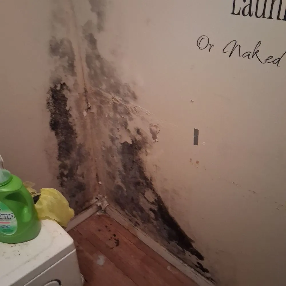 Custom landscape design in Manchester, GA by B&D Landscaping