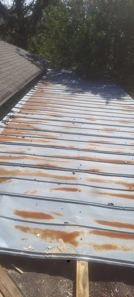 Reliable yard cleanup service experts serving Manchester, GA - B&D Landscaping