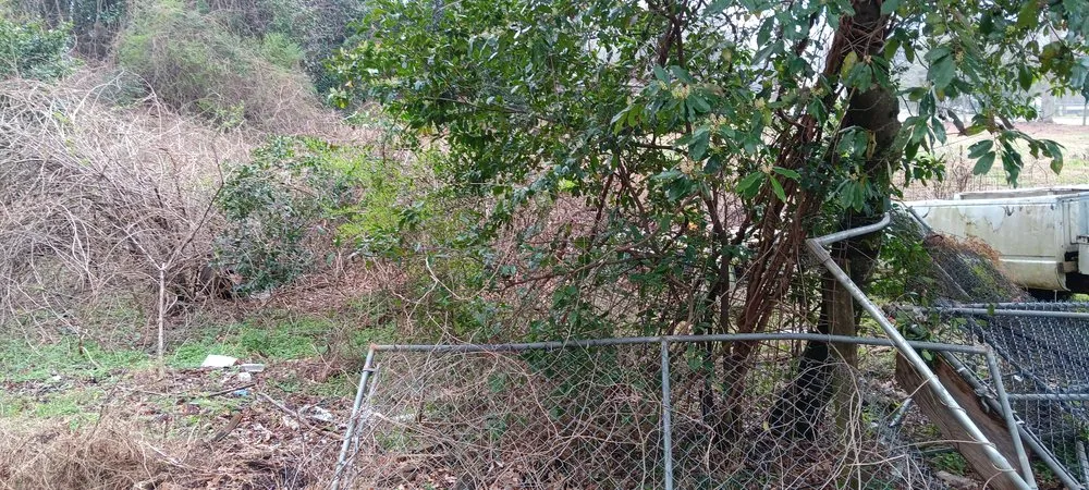 Professional lawn mowing service in Manchester, GA - B&D Landscaping