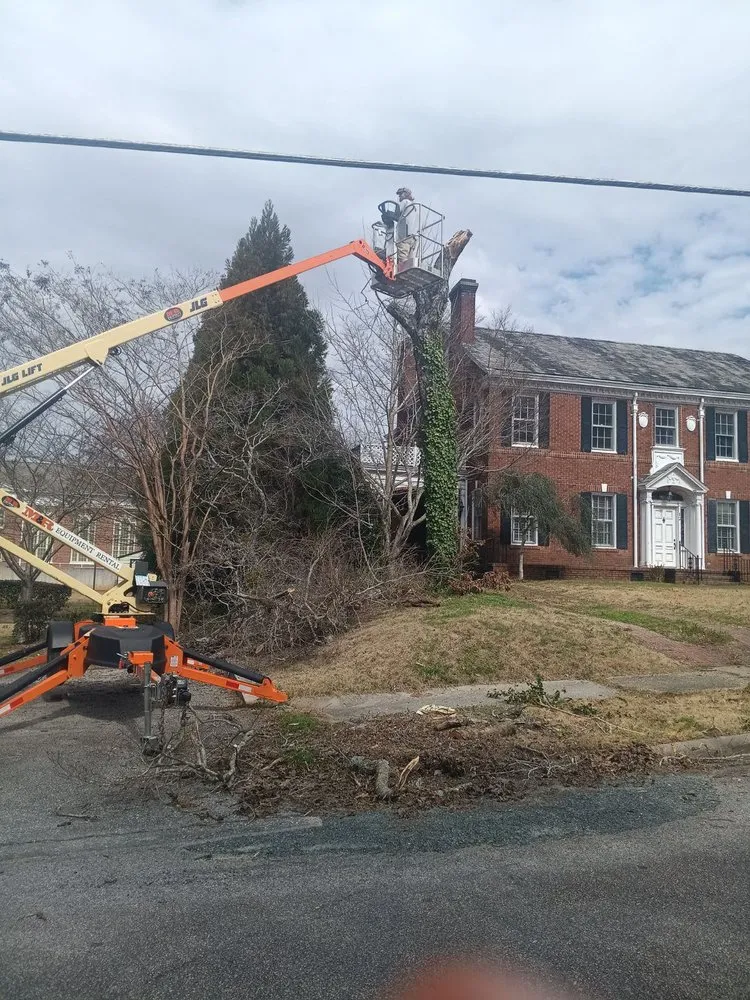 Local lawn care service for beautiful yards across Manchester, GA - B&D Landscaping