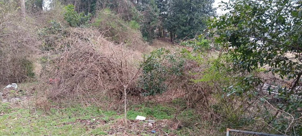 Reliable residential landscaping experts serving Manchester, GA - B&D Landscaping