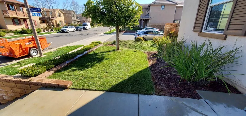 Custom yard cleanup service for year-round maintenance across Oxnard, CA - B&D Landscaping