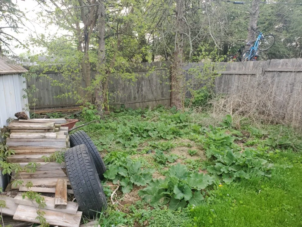 Custom lawn care service in Beloit, WI by B&D Lawn Care Services