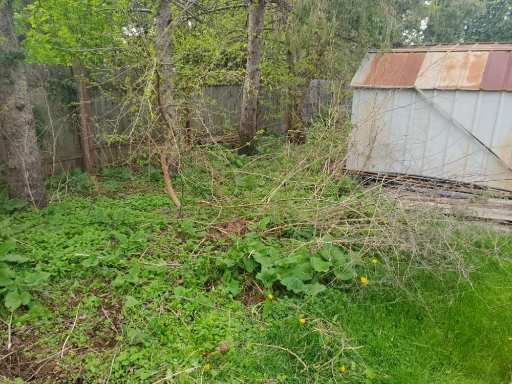 Expert landscape design in Beloit, WI - B&D Lawn Care Services