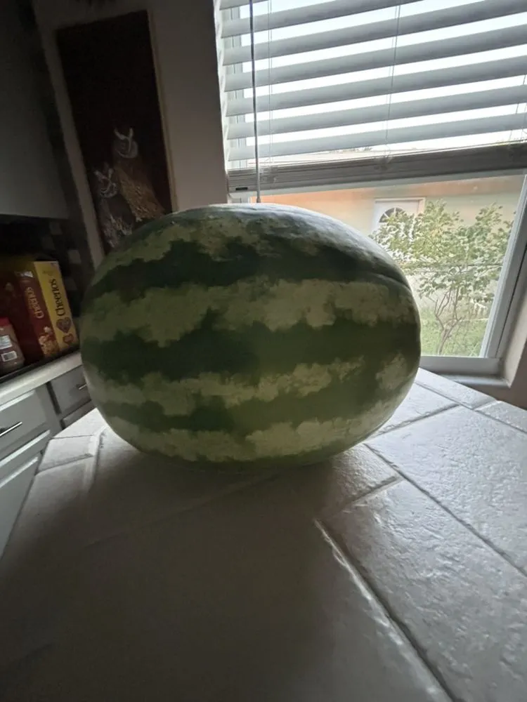 Top-rated landscaping services in South Daytona, FL - B&D Lawn Care