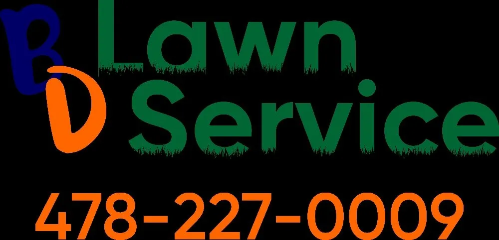 Custom yard maintenance for outdoor upgrades across Warner Robins, GA - BD Lawn Service