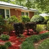 Trusted lawn mowing service with custom design across Warner Robins, GA - BD Lawn Service