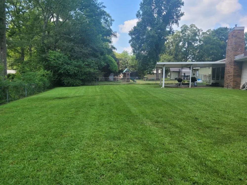 Reliable yard maintenance in Warner Robins, GA - BD Lawn Service